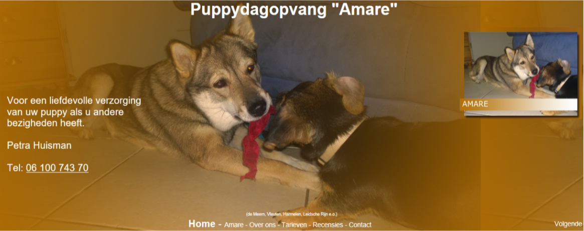 Amare Puppy dagopvang